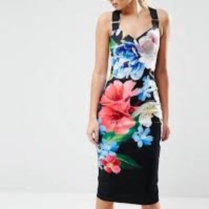 Yes Baker Forget Me Not Midi Dress Size 4